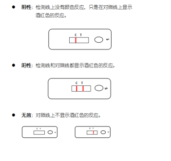 豬旋毛蟲抗體膠體金快速檢測(cè)卡